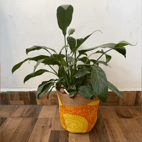 Yellow And Orange Jute Planter