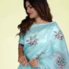 Buy Handwoven Blue Organza Saree with Intricate Design Online