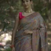 Buy Elegant Grey Kani Weave Saree with Raja Rani Pallu Online