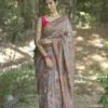 Buy Elegant Grey Kani Weave Saree with Raja Rani Pallu Online