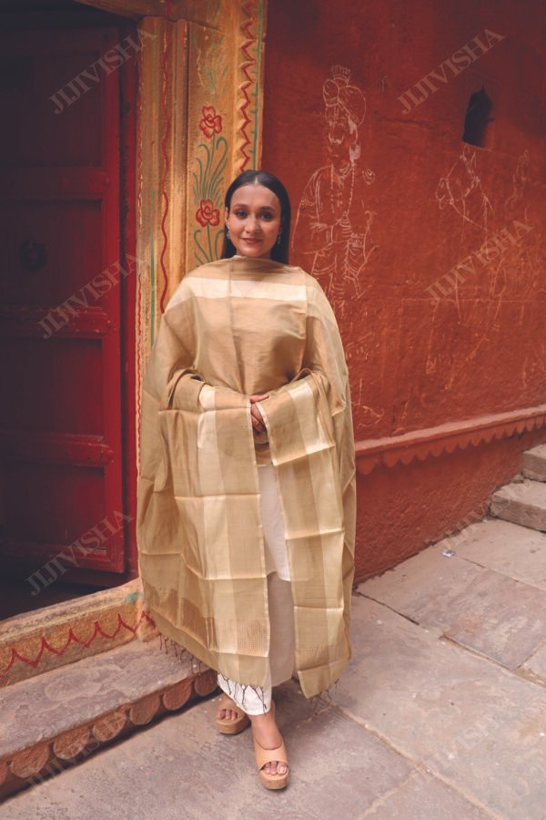 Buy Golden and Beige Handwoven Chanderi Silk Dupatta Online