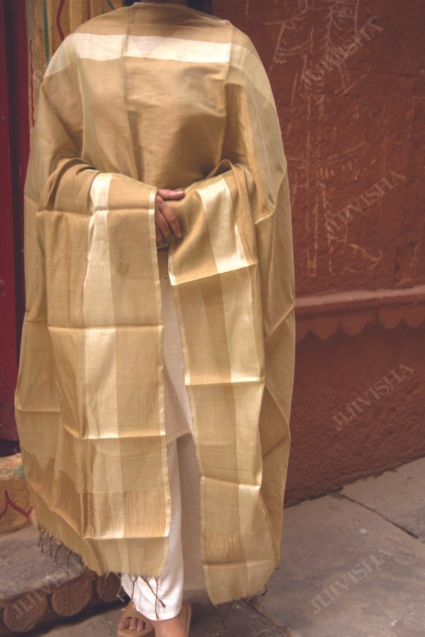 Buy Golden and Beige Handwoven Chanderi Silk Dupatta Online