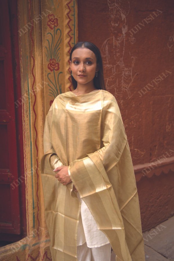 Buy Golden and Beige Handwoven Chanderi Silk Dupatta Online