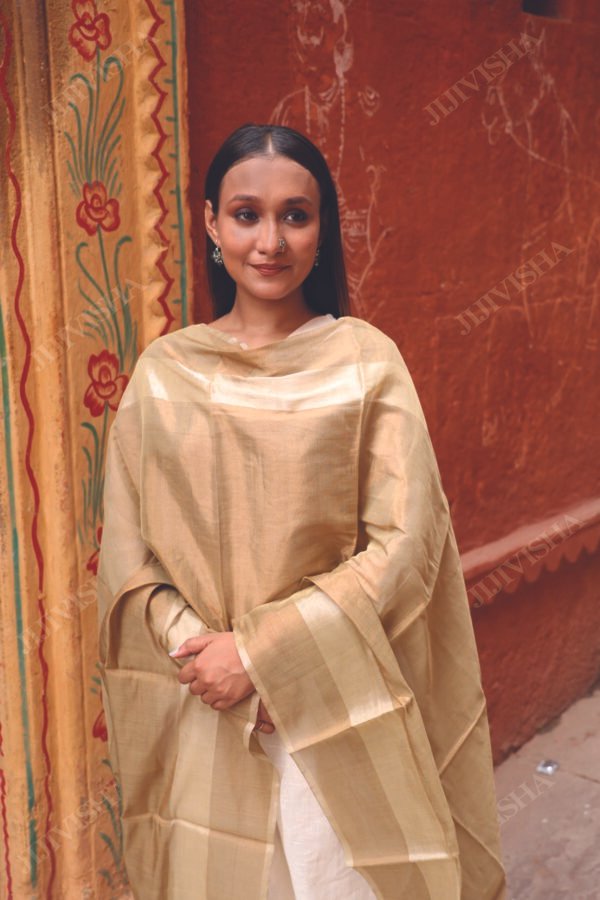 Buy Golden and Beige Handwoven Chanderi Silk Dupatta Online